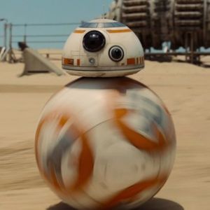 Meet your Posher, Falyn